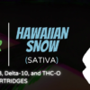 Apple Fritter Hawaiian Snow Cap